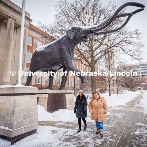 Morrill Hall and state museum for About Lincoln website. January 17, 2024. Photo by Kristen Labadie / University Communication.